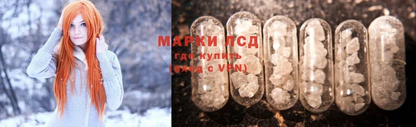 гашик Алексин