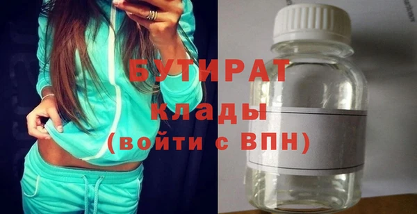 гашик Алексин