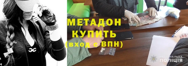 гашик Алексин