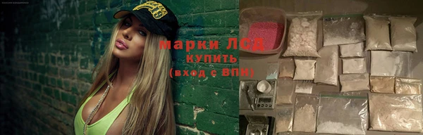 гашик Алексин