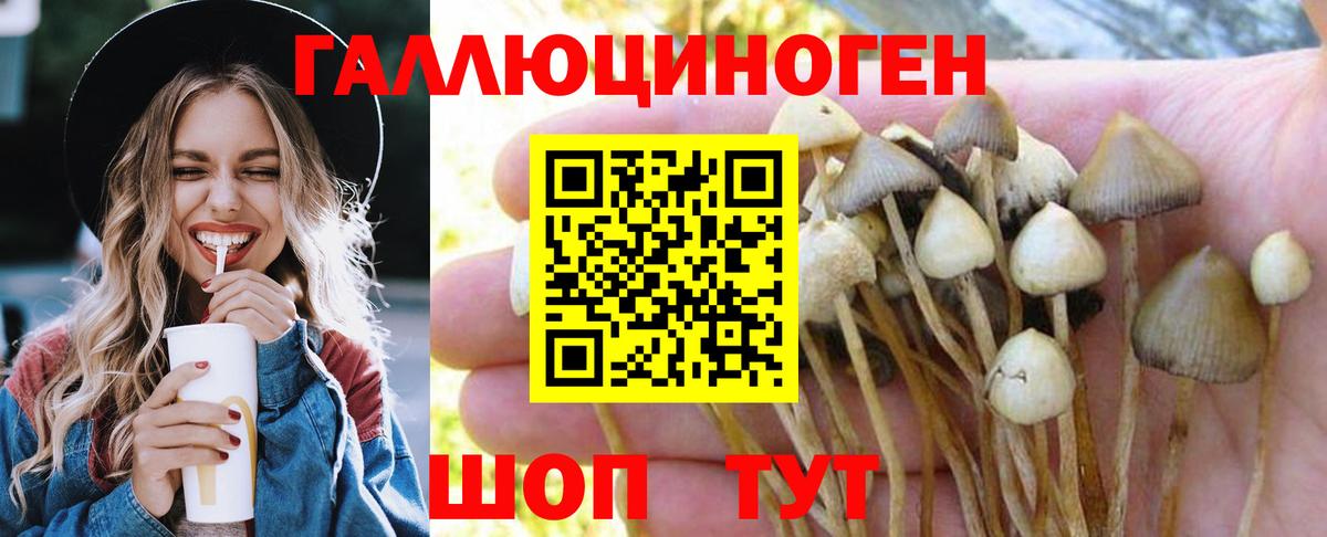 Псилоцибиновые грибы MAGIC MUSHROOMS Первоуральск